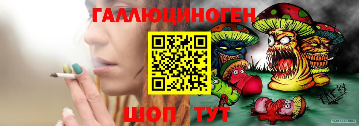 Волжск  Псилоцибиновые грибы мицелий  Вход с VPN 